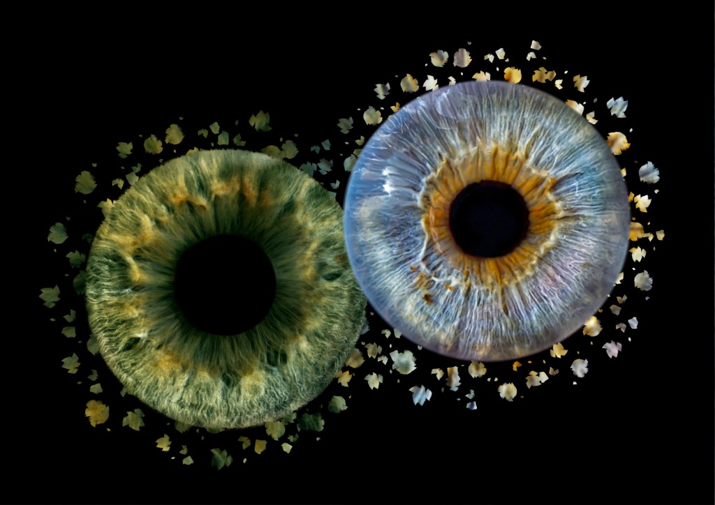 Iris 5
