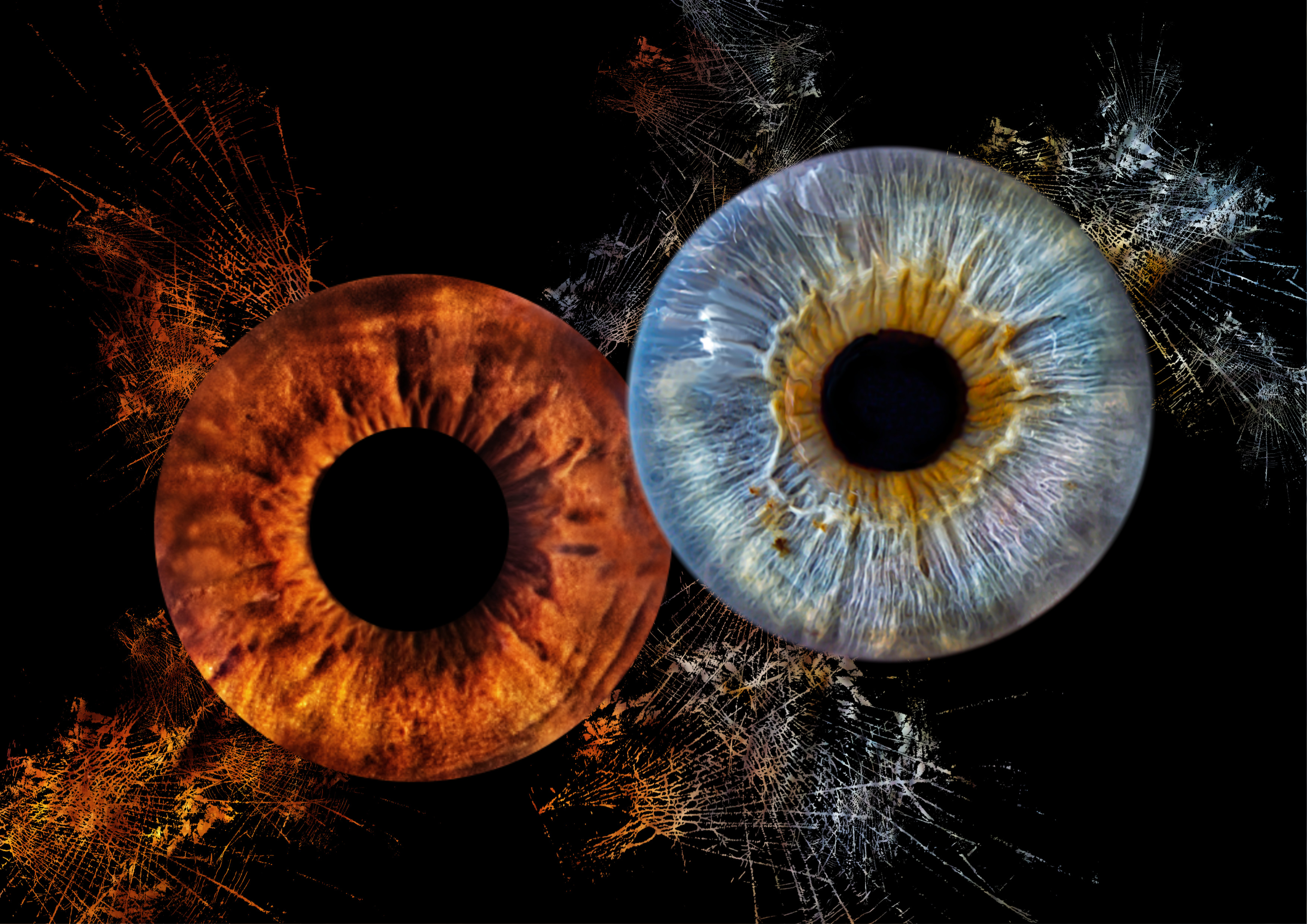 Iris 9